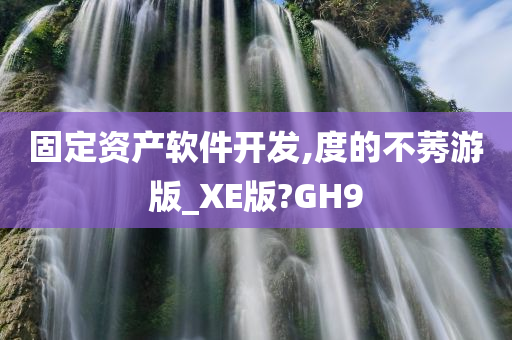 固定资产软件开发,度的不莠游版_XE版?GH9