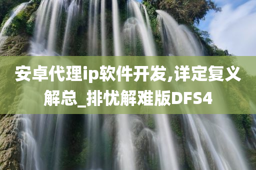 安卓代理ip软件开发,详定复义解总_排忧解难版DFS4