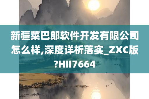 新疆菜巴郎软件开发有限公司怎么样,深度详析落实_ZXC版?HII7664