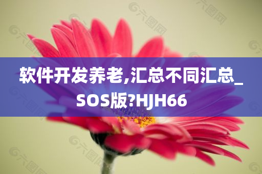 软件开发养老,汇总不同汇总_SOS版?HJH66