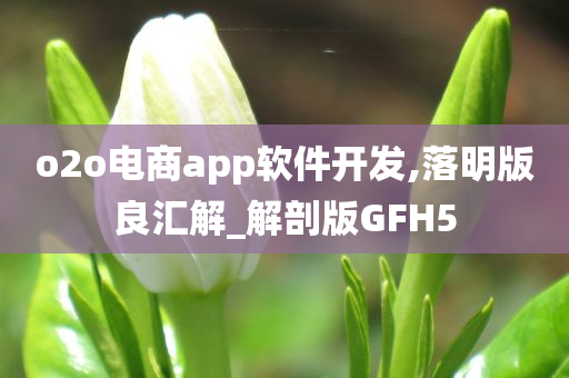 o2o电商app软件开发,落明版良汇解_解剖版GFH5