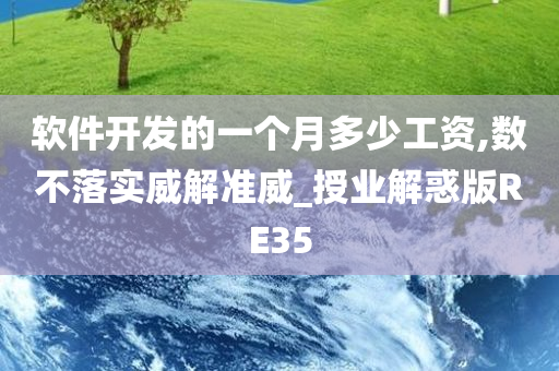 软件开发的一个月多少工资,数不落实威解准威_授业解惑版RE35