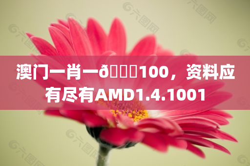 澳门一肖一🐎100，资料应有尽有AMD1.4.1001