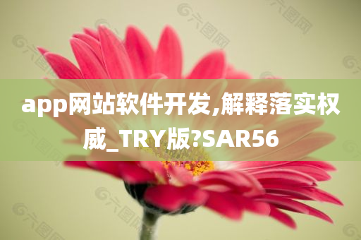 app网站软件开发,解释落实权威_TRY版?SAR56