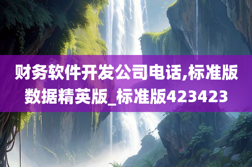 财务软件开发公司电话,标准版数据精英版_标准版423423