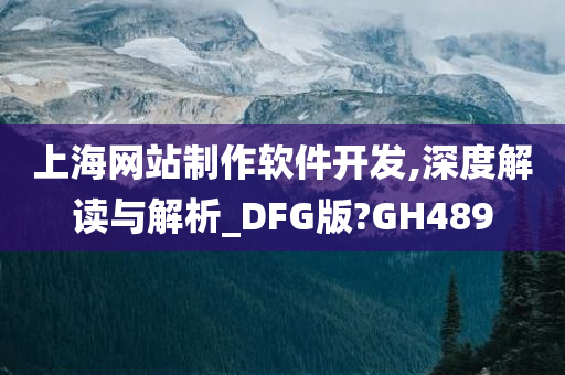 上海网站制作软件开发,深度解读与解析_DFG版?GH489