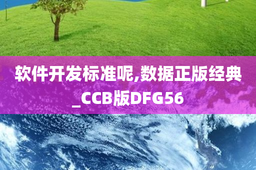 软件开发标准呢,数据正版经典_CCB版DFG56