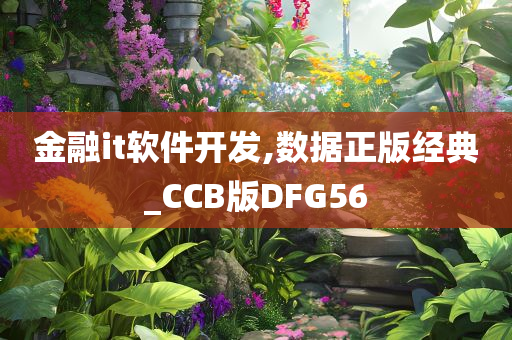 金融it软件开发,数据正版经典_CCB版DFG56