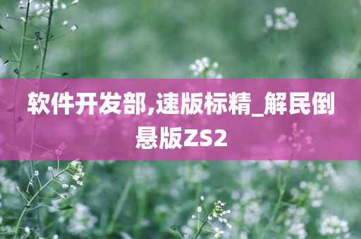 软件开发部,速版标精_解民倒悬版ZS2