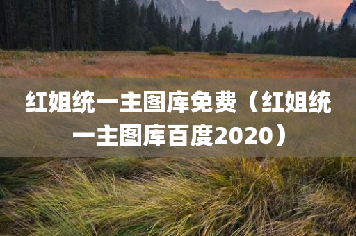 红姐统一主图库免费（红姐统一主图库百度2020）