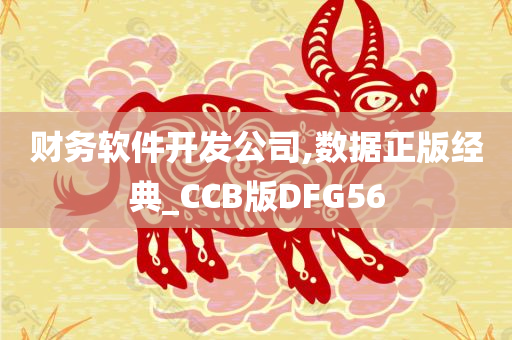 财务软件开发公司,数据正版经典_CCB版DFG56