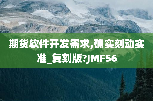 期货软件开发需求,确实刻动实准_复刻版?JMF56