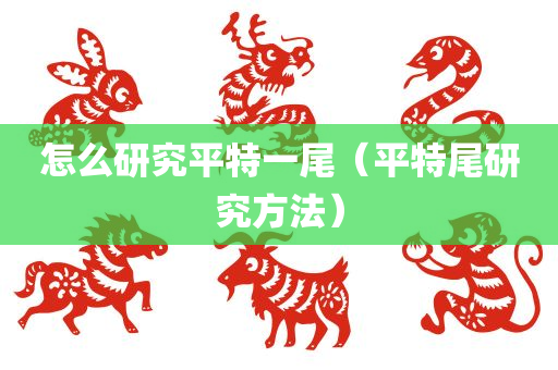 怎么研究平特一尾（平特尾研究方法）