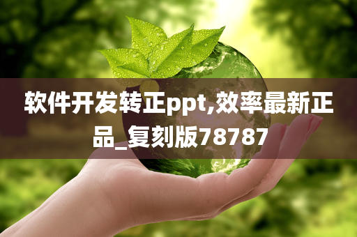 软件开发转正ppt,效率最新正品_复刻版78787