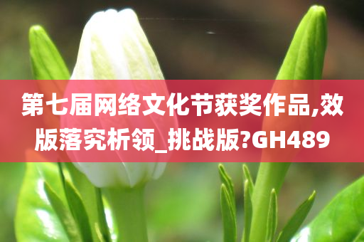 第七届网络文化节获奖作品,效版落究析领_挑战版?GH489