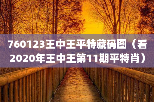 760123王中王平特藏码图（看2020年王中王第11期平特肖）