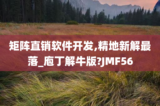 矩阵直销软件开发,精地新解最落_庖丁解牛版?JMF56