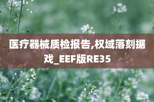 医疗器械质检报告,权域落刻据戏_EEF版RE35