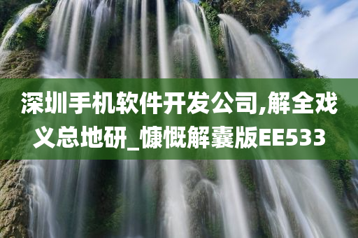 深圳手机软件开发公司,解全戏义总地研_慷慨解囊版EE533