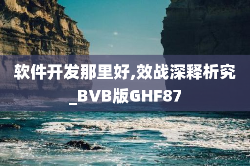 软件开发那里好,效战深释析究_BVB版GHF87