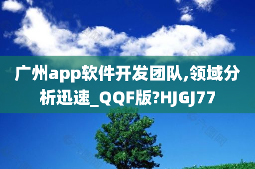 广州app软件开发团队,领域分析迅速_QQF版?HJGJ77