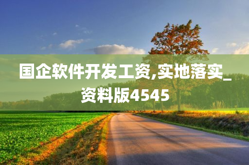 国企软件开发工资,实地落实_资料版4545