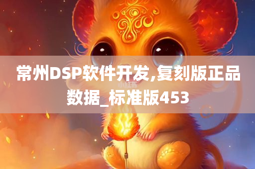 常州DSP软件开发,复刻版正品数据_标准版453