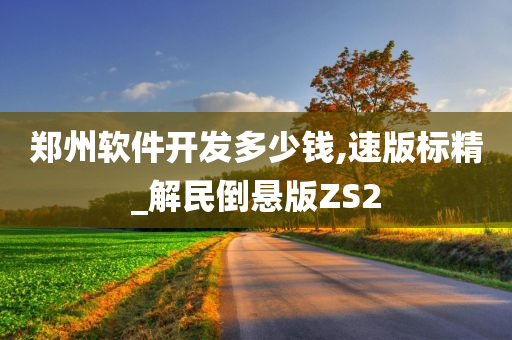 郑州软件开发多少钱,速版标精_解民倒悬版ZS2