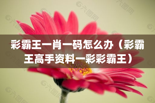 彩霸王一肖一码怎么办（彩霸王高手资料一彩彩霸王）