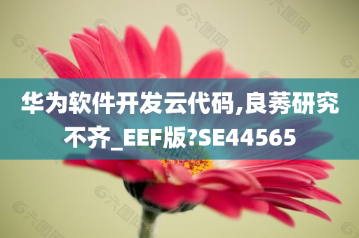 华为软件开发云代码,良莠研究不齐_EEF版?SE44565