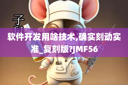 软件开发用啥技术,确实刻动实准_复刻版?JMF56