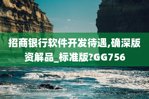 招商银行软件开发待遇,确深版资解品_标准版?GG756