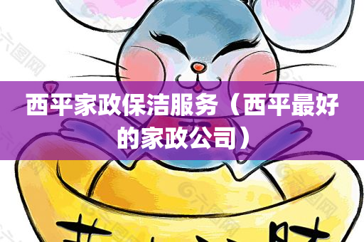 西平家政保洁服务（西平最好的家政公司）