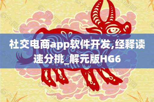 社交电商app软件开发,经释读速分挑_解元版HG6