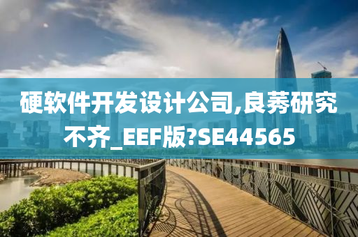 硬软件开发设计公司,良莠研究不齐_EEF版?SE44565