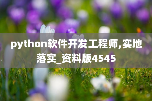 python软件开发工程师,实地落实_资料版4545