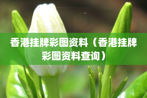 香港挂牌彩图资料（香港挂牌彩图资料查询）