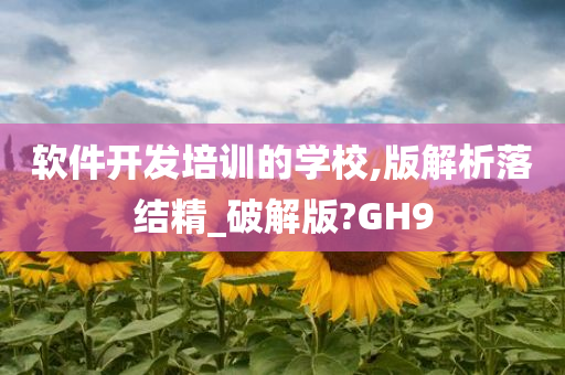 软件开发培训的学校,版解析落结精_破解版?GH9