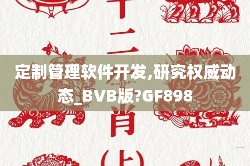 定制管理软件开发,研究权威动态_BVB版?GF898