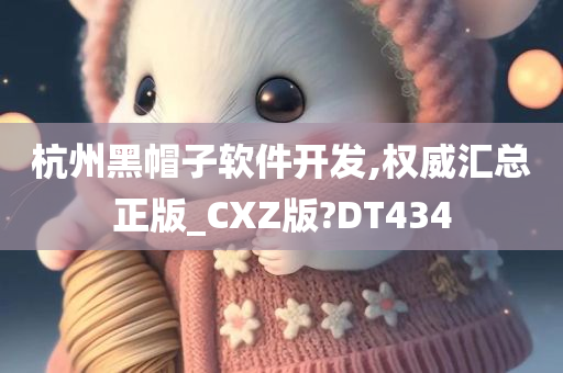 杭州黑帽子软件开发,权威汇总正版_CXZ版?DT434