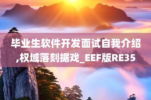 毕业生软件开发面试自我介绍,权域落刻据戏_EEF版RE35