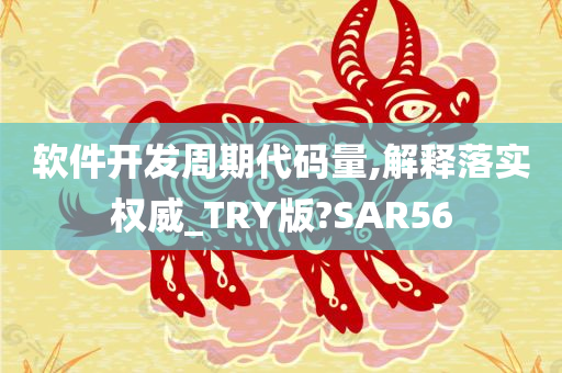 软件开发周期代码量,解释落实权威_TRY版?SAR56