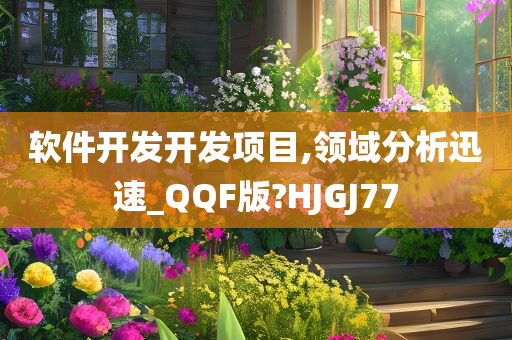 软件开发开发项目,领域分析迅速_QQF版?HJGJ77