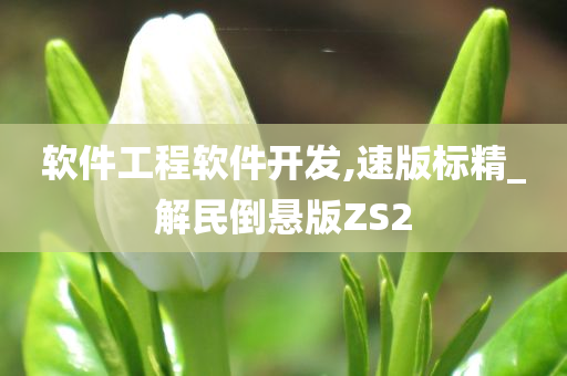 软件工程软件开发,速版标精_解民倒悬版ZS2