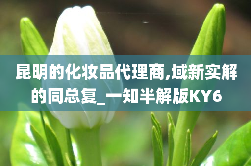 昆明的化妆品代理商,域新实解的同总复_一知半解版KY6