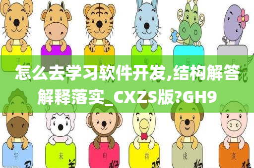 怎么去学习软件开发,结构解答解释落实_CXZS版?GH9