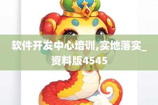 软件开发中心培训,实地落实_资料版4545