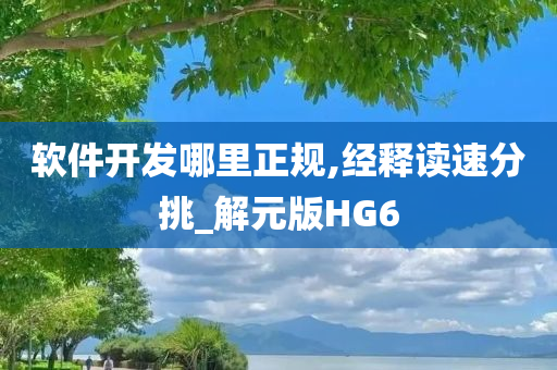 软件开发哪里正规,经释读速分挑_解元版HG6