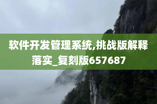 软件开发管理系统,挑战版解释落实_复刻版657687