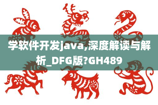 学软件开发java,深度解读与解析_DFG版?GH489